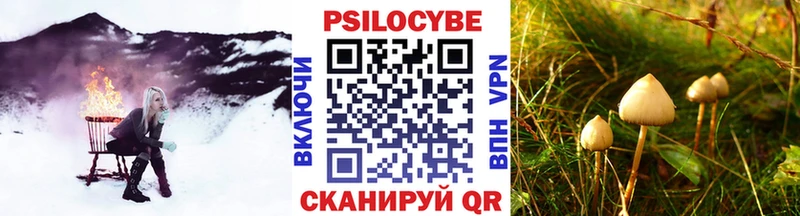 дарнет шоп  Видное  Псилоцибиновые грибы прущие грибы 